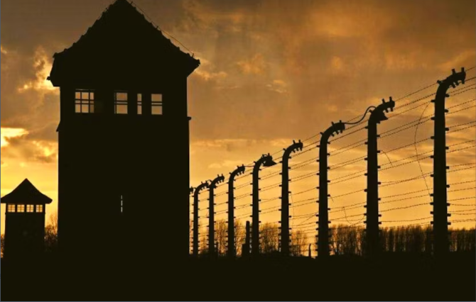 Auschwitz Small Group Tour from Warsaw with Pick-up and Lunch